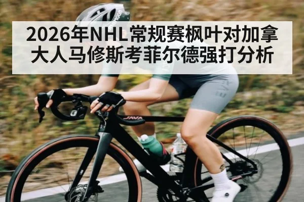 2026年NHL常规赛枫叶对加拿大人马修斯考菲尔德强打分析 | kaiyun